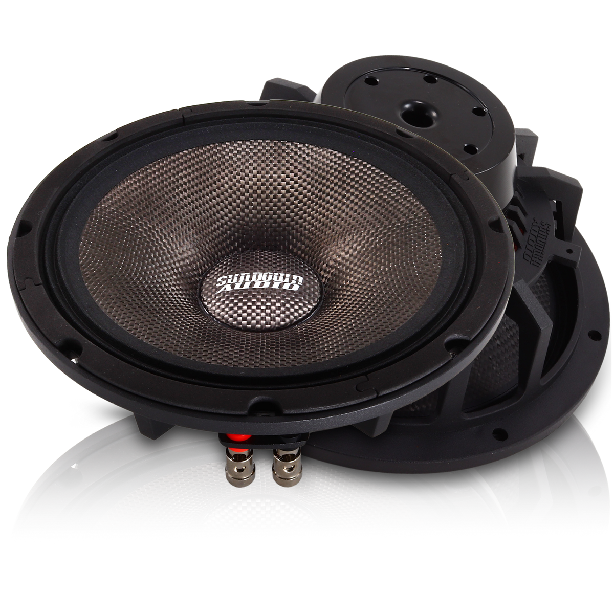 NeoPro-10 v.4 150W-340W Pro Audio Midrange Speaker